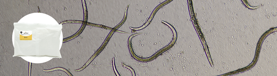 NEMATOcontrol