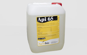 Api 65