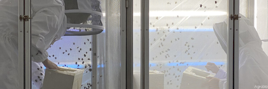 Biofábrica de Agrobío en la que se produce la actividad de colmenas de abejorros