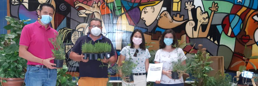 Entrega de plantas en IES Pablo Ruiz Picasso