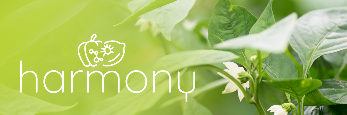 El proyecto HARMONY lanza un enfoque pionero e integrado para el manejo sostenible de plagas agrícolas emergentes