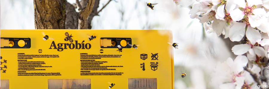 AgrobíoDOUBLE para almendro y frutales