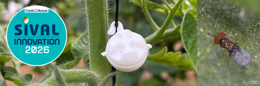 TRICHOcontrol - Dispensing Balls de Agrobío nominado en SIVAL 2026