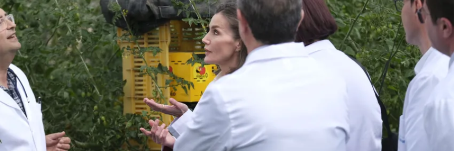 Queen Letizia visits a tomato crop Queen Letizia visits a tomato crop