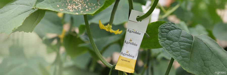Agrobio lanza MONcontrol Plus en otoño