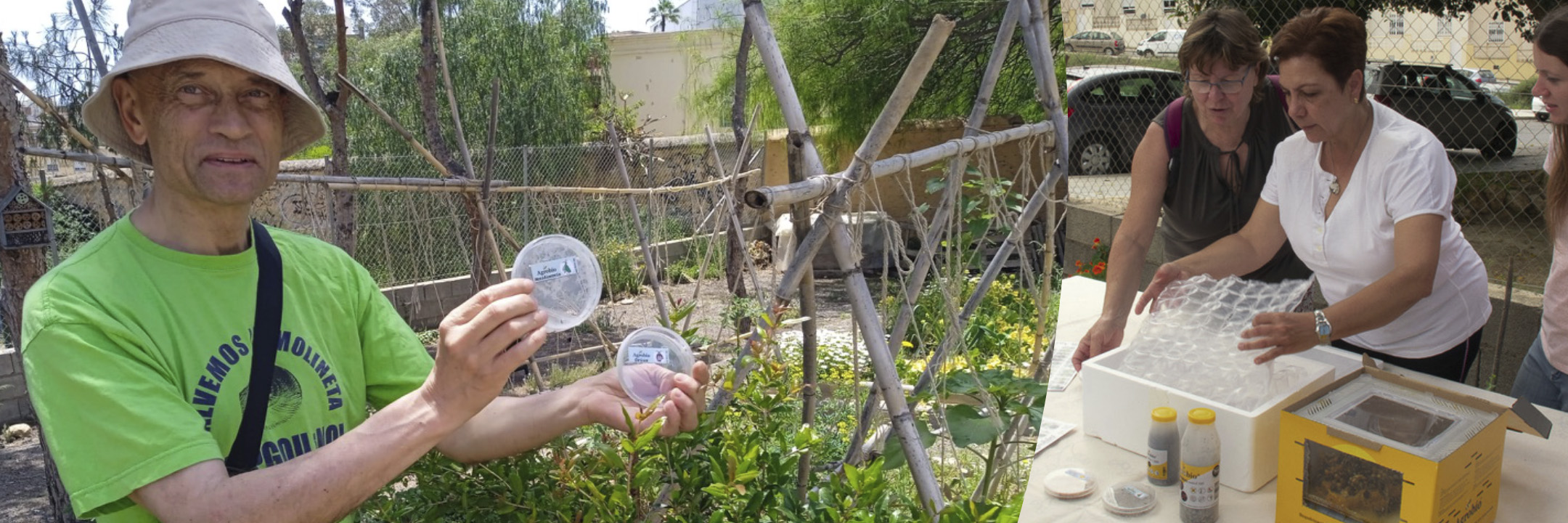 Control biológico en el huerto urbano La Palmera