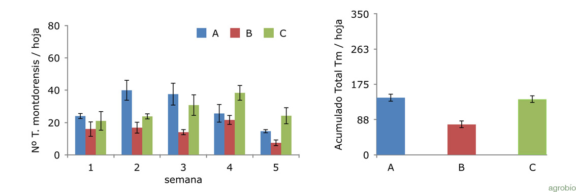 Resultados del ensayo de T. montdorensis sobre cultivo comercial de calabacín