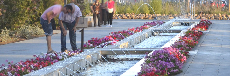 El Paseo de las Mariquitas del Parque de las Familias