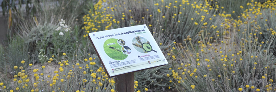 El Paseo de las Mariquitas