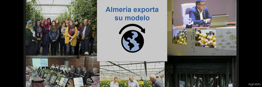 Almería exporta su modelo agrícola