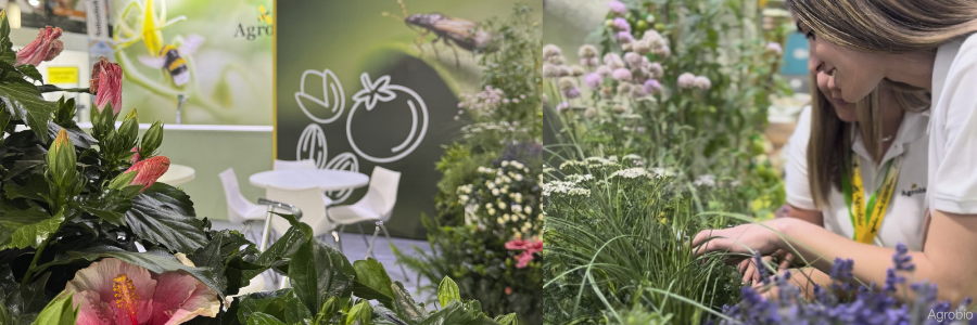 Agrobío participa en Infoagro Exhibition 2025