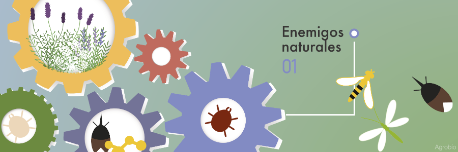 Enemigos naturales