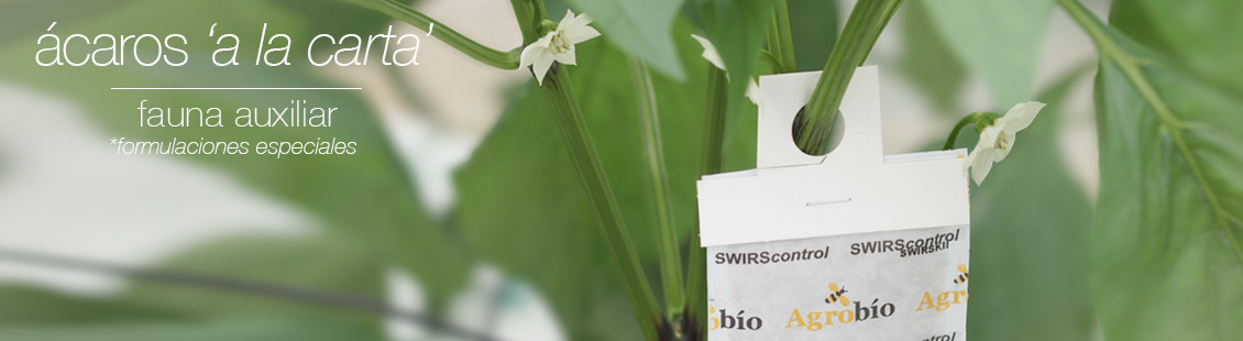 Ácaros a la carta