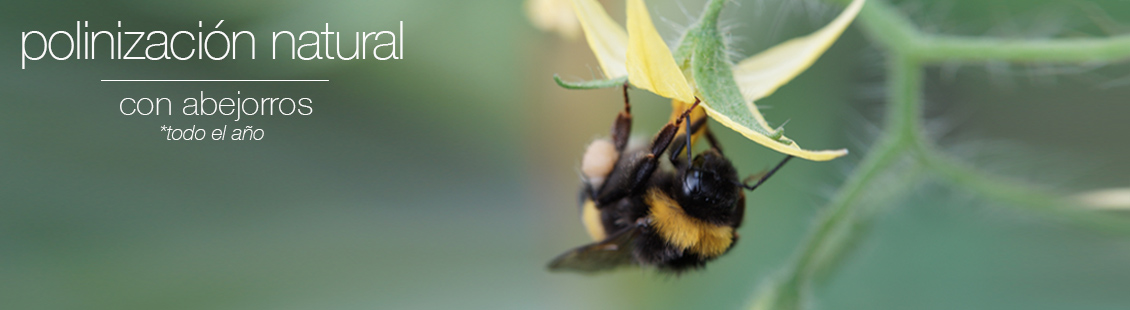 Polinización Natural