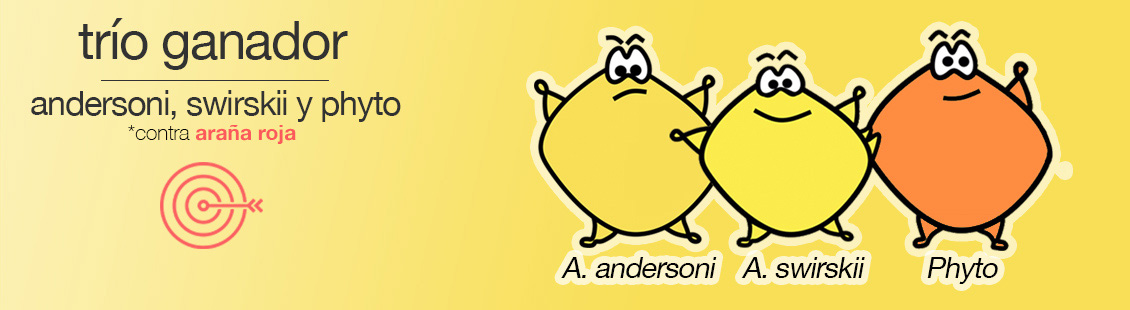 Trio ganador contra la araña roja: Andersoni, Swirskii y Phyto