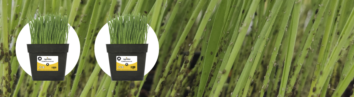 PLANTAcontrol de Agrobío