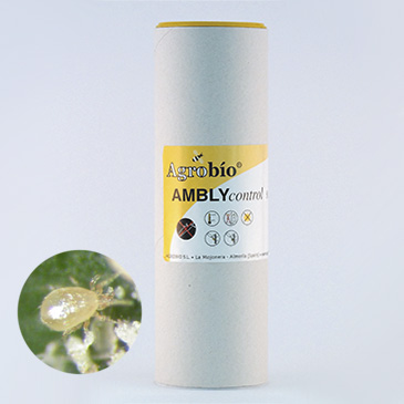 AMBLYcontrol - Neoseiulus cucumeris