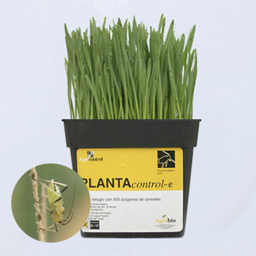 PLANTAcontrol-e PLANTAcontrol-e